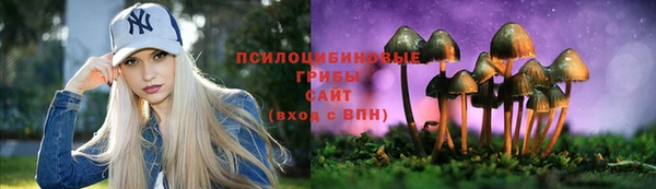 ешки Ладушкин