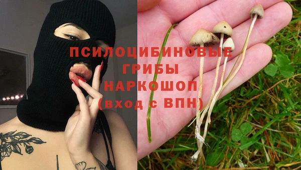 шишки Кукмор