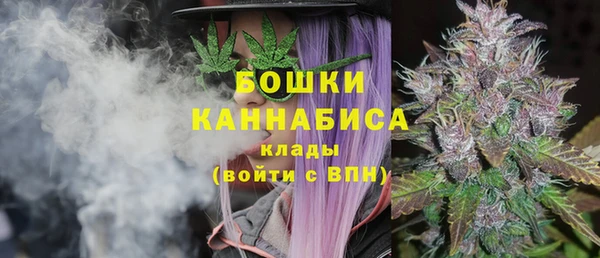 амф Кулебаки