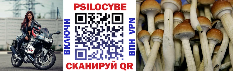 Псилоцибиновые грибы ЛСД  mega зеркало  Спасск 